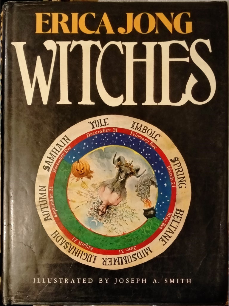 cover image of Witches by Erica Jong, for sale in New Zealand 
