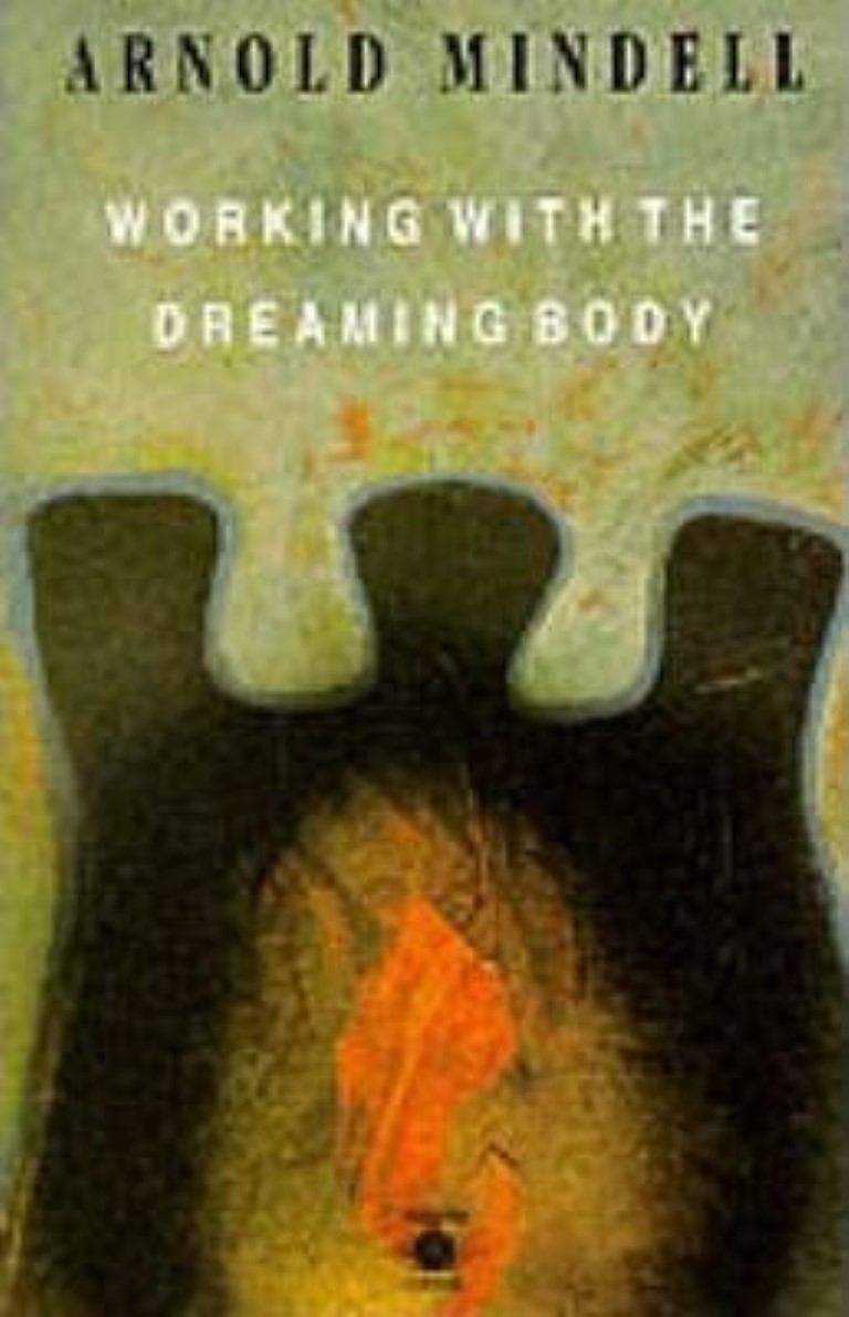 cover image of Working with the Dreaming Body, for sale in New Zealand 