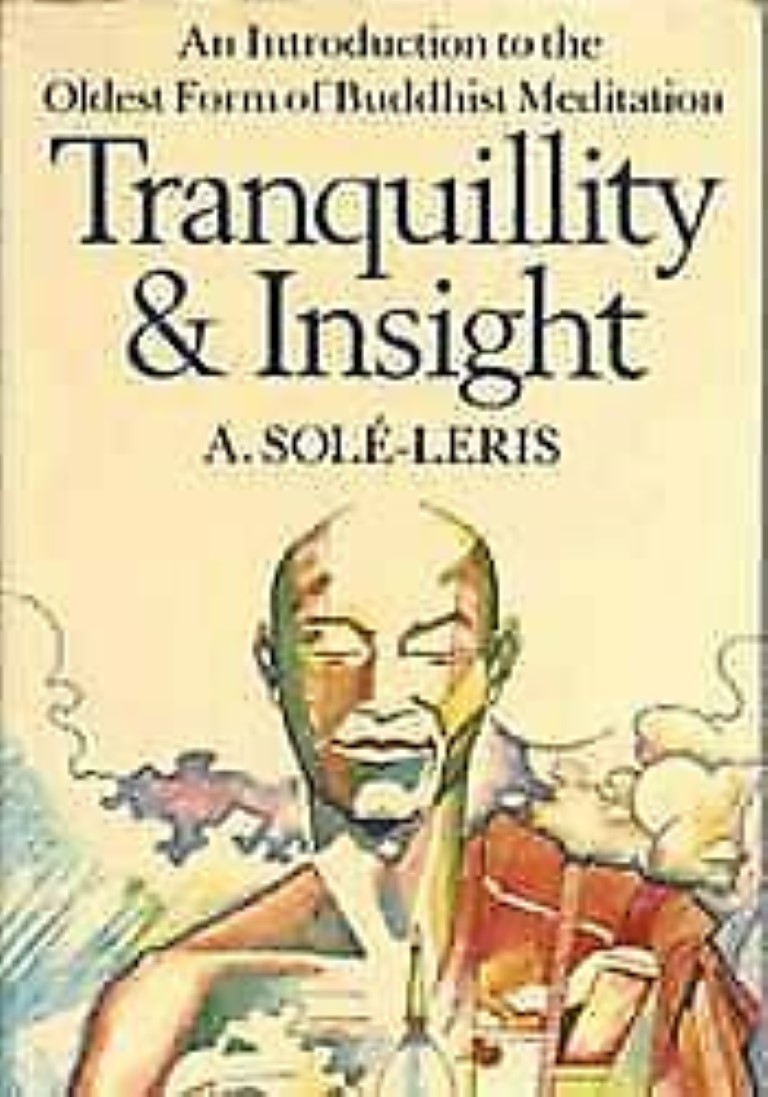 cover image of Tranquility and Insight, an introduction to the oldest form of Buddhist meditation, for sale in New Zealand 