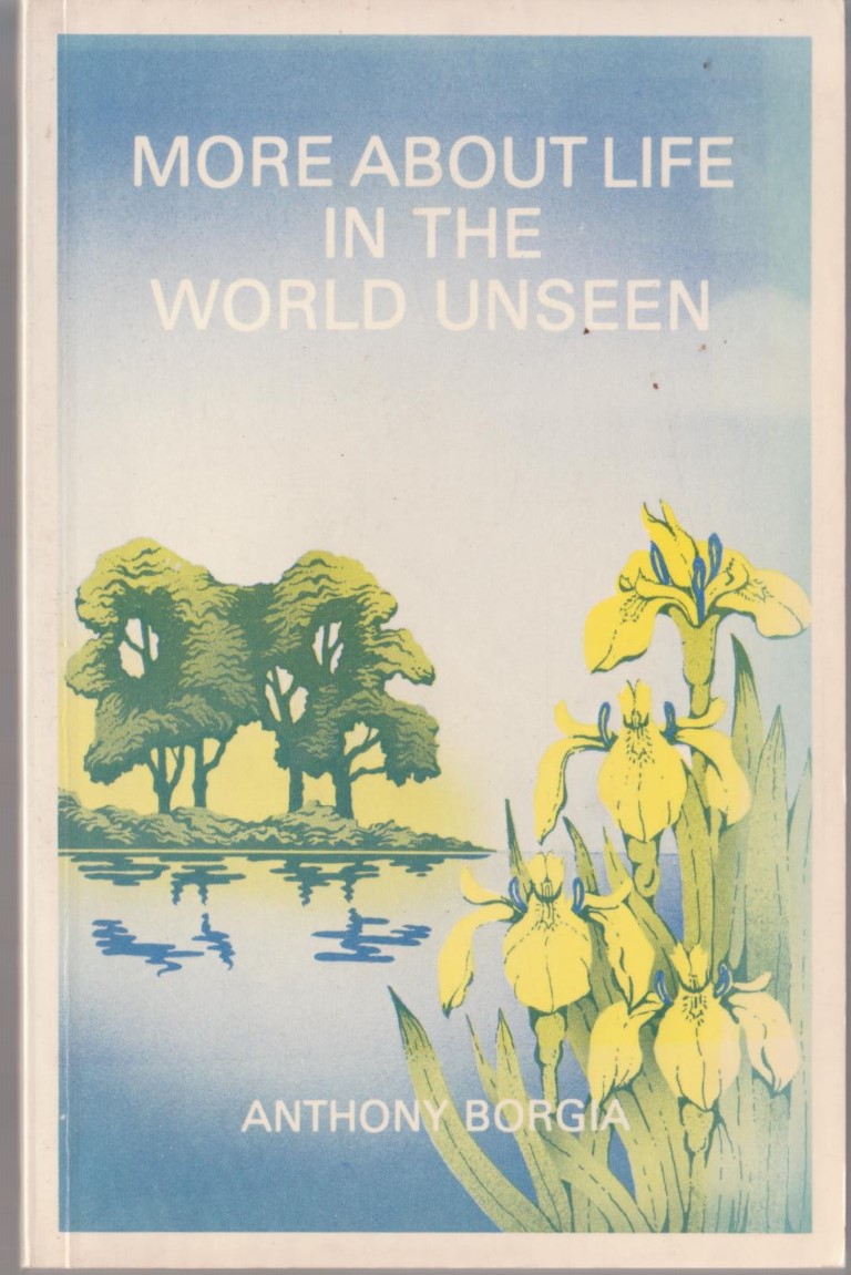 cover image of More About Life in the World Unseen, for sale in New Zealand 