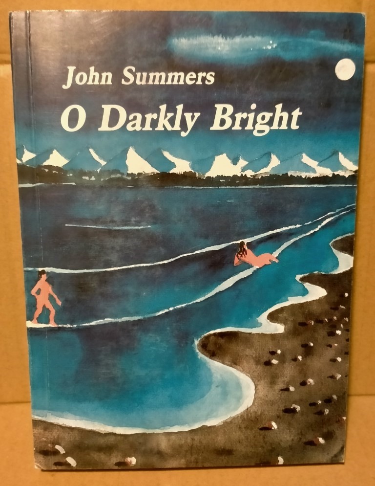 cover image of O Darkly Bright by John Summers, for sale in New Zealand 