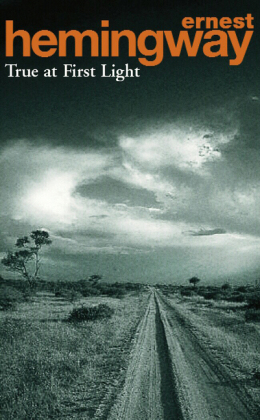 cover image of True at First Light for sale in New Zealand 