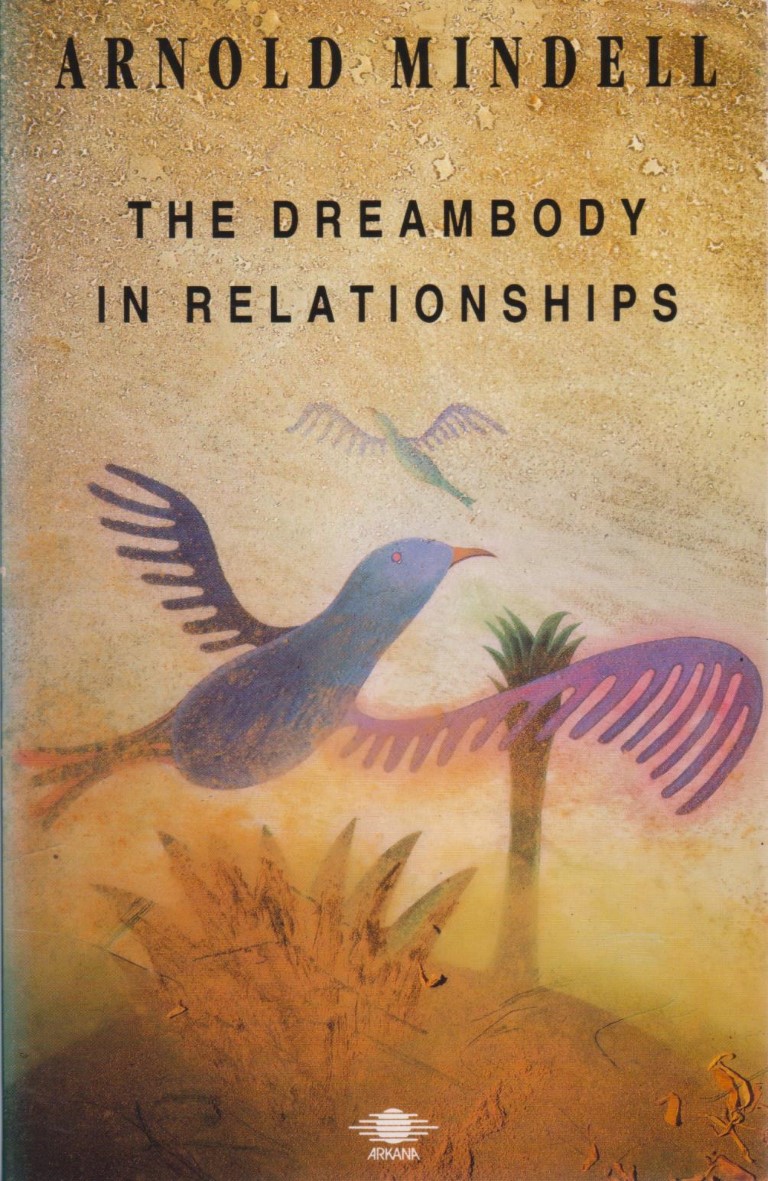cover image of The Dreambody in Relationships, for sale in New Zealand 