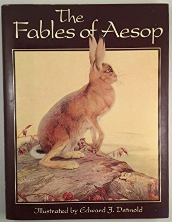 cover image of The Fables of Aesop illustrated by Edward J. Detmold, for sale in New Zealand 