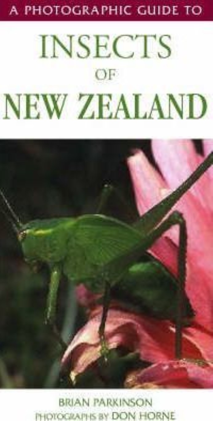 cover image of A Photographic Guide to Insects of New Zealand for sale in New Zealand 