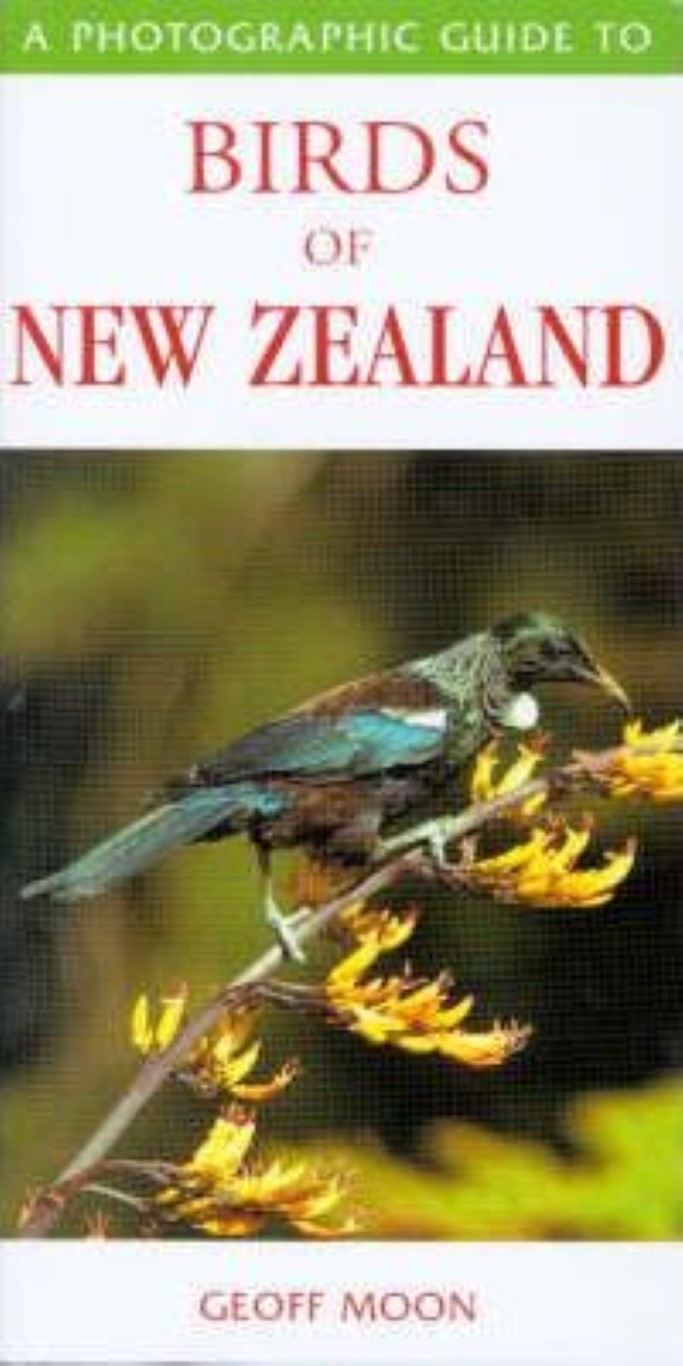 cover image of A Photographic Guide to Birds of New Zealand for sale in New Zealand 