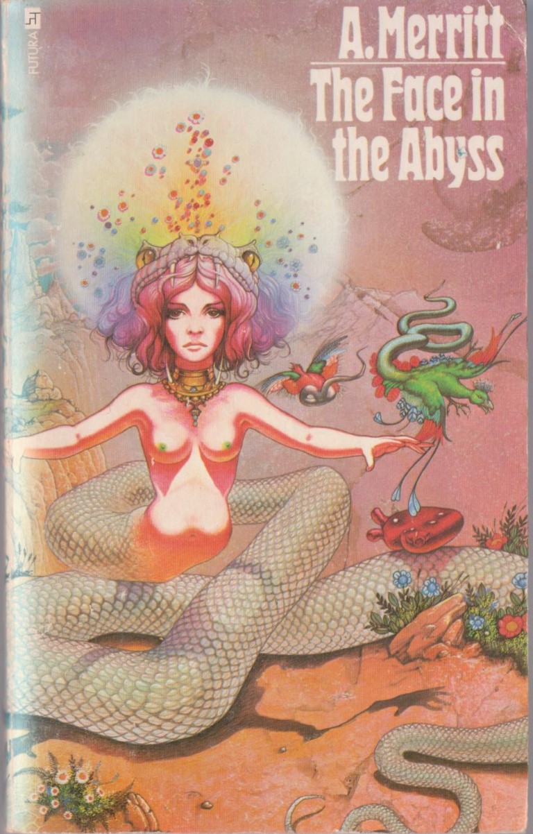 cover image of The Face in the Abyss, for sale in New Zealand 